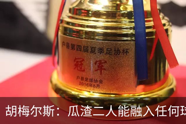 胡梅尔斯：瓜渣二人能融入任何球队，完全能想象任意一位执教德国